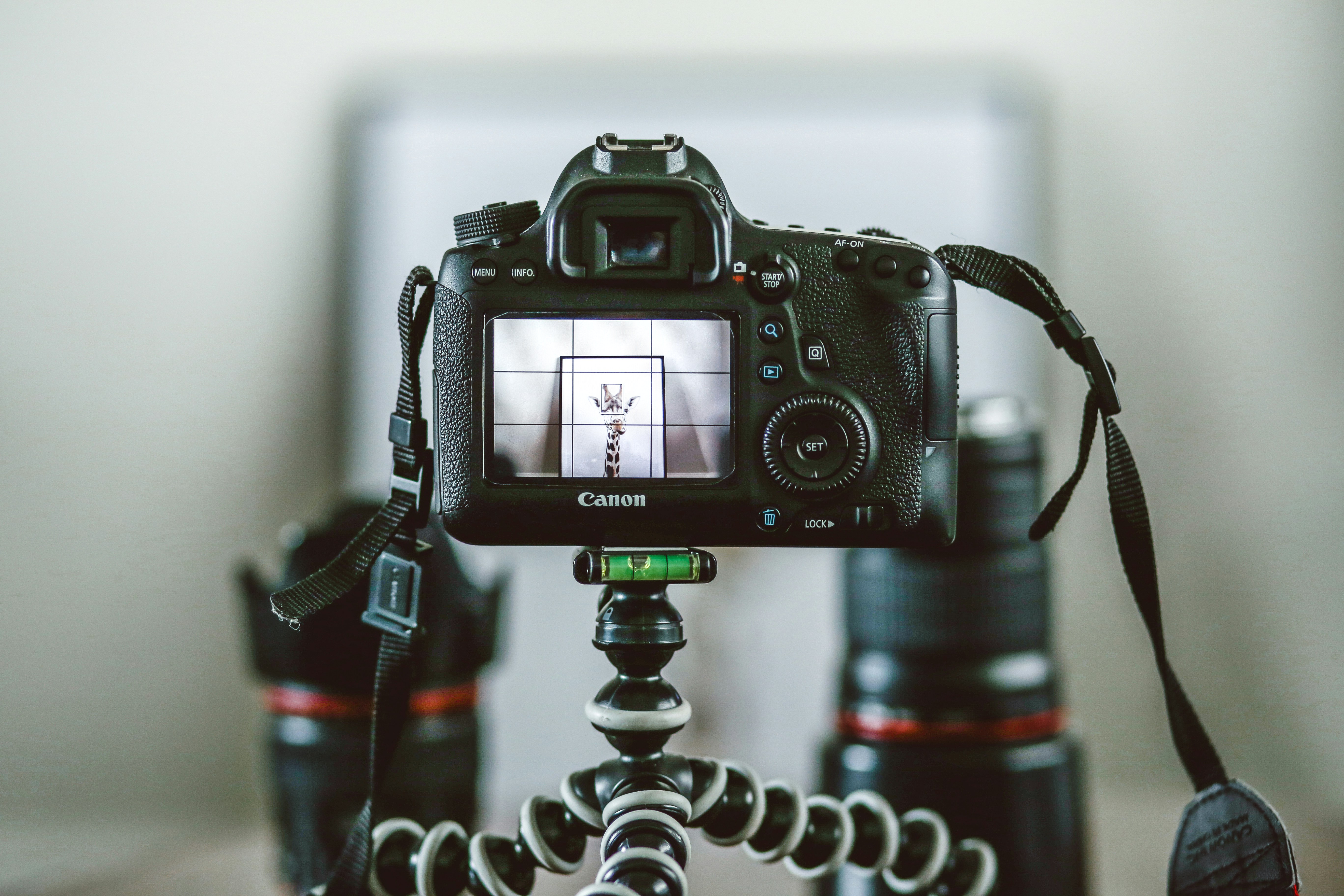 FOTOGRAFÍA Y VÍDEO